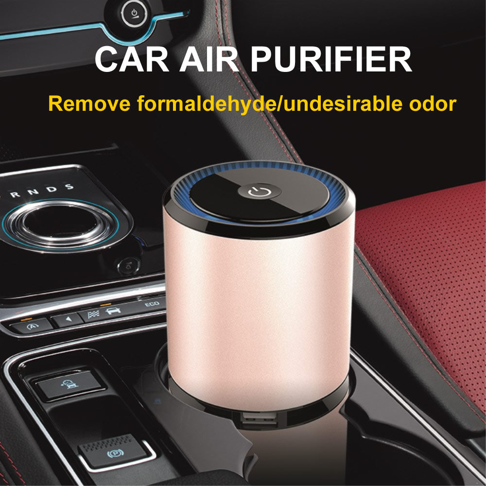 Car air purifier cabin ionizer